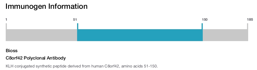 C8orf42 Polyclonal Antibody