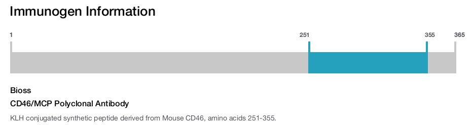 CD46/MCP Polyclonal Antibody