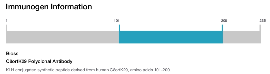 C8orfK29 Polyclonal Antibody