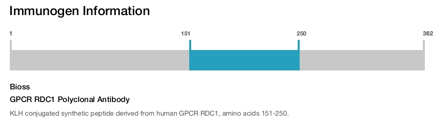 GPCR RDC1 Polyclonal Antibody