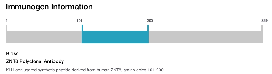 ZNT8 Polyclonal Antibody