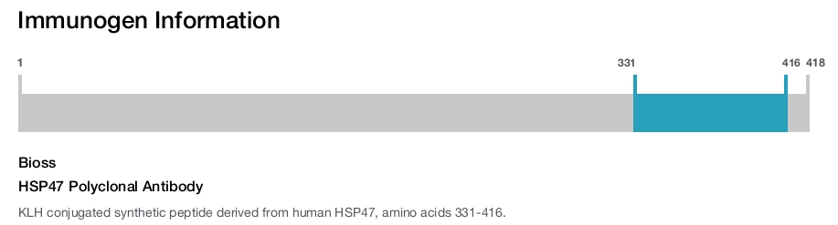 HSP47 Polyclonal Antibody