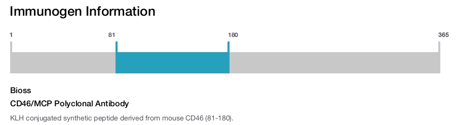 CD46/MCP Polyclonal Antibody
