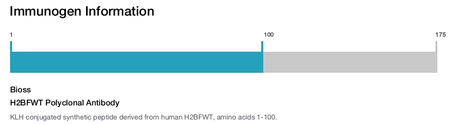 H2BFWT Polyclonal Antibody