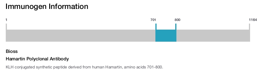 Hamartin Polyclonal Antibody