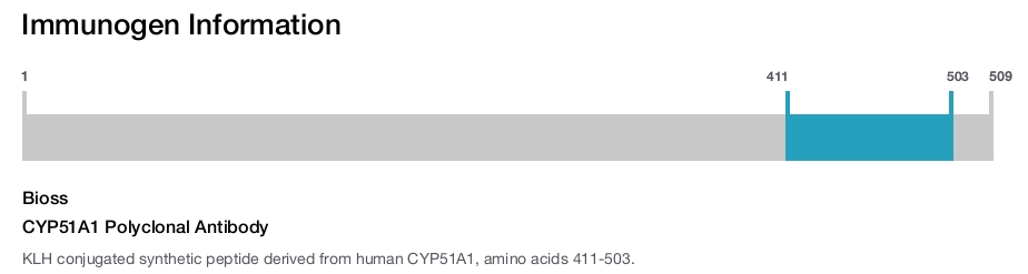 CYP51A1 Polyclonal Antibody