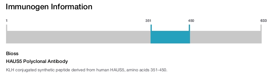 HAUS5 Polyclonal Antibody
