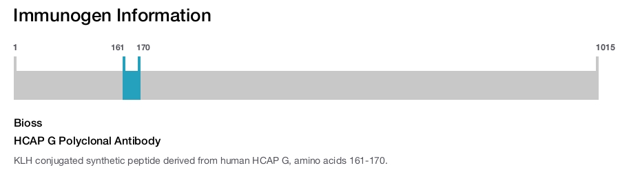 HCAP G Polyclonal Antibody