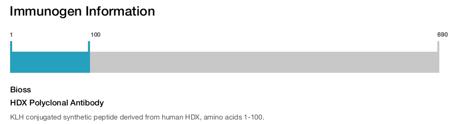 HDX Polyclonal Antibody