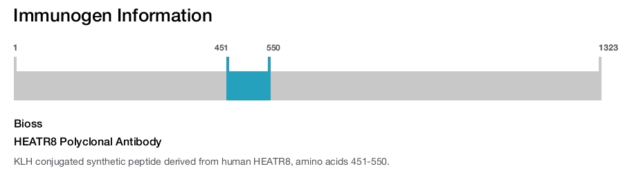 HEATR8 Polyclonal Antibody