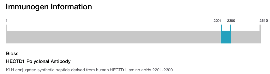 HECTD1 Polyclonal Antibody