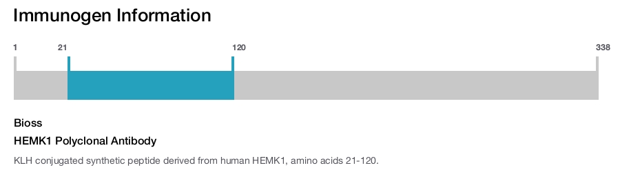 HEMK1 Polyclonal Antibody