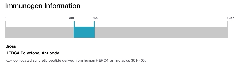 HERC4 Polyclonal Antibody