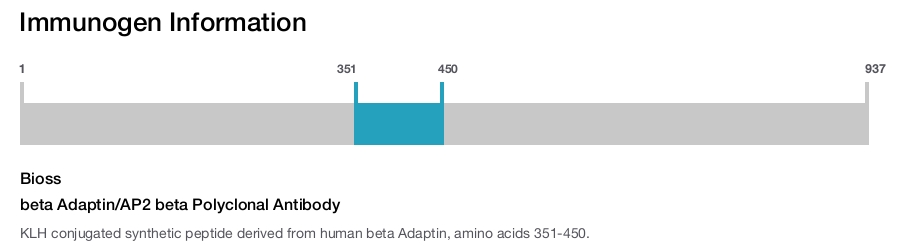 beta Adaptin/AP2 beta Polyclonal Antibody