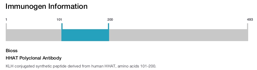 HHAT Polyclonal Antibody