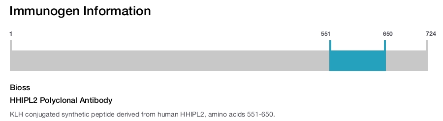 HHIPL2 Polyclonal Antibody