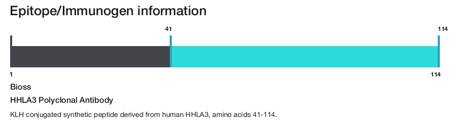 HHLA3 Polyclonal Antibody
