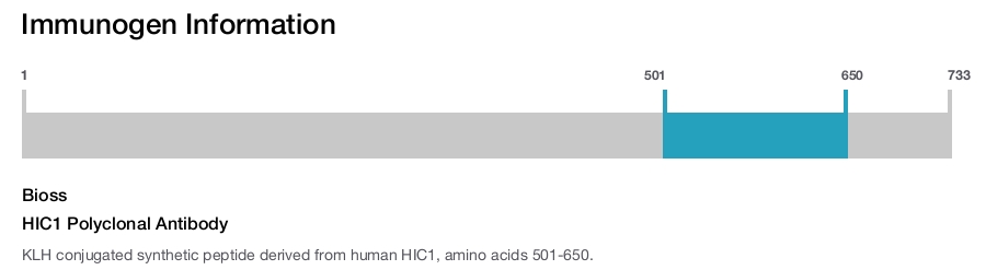 HIC1 Polyclonal Antibody