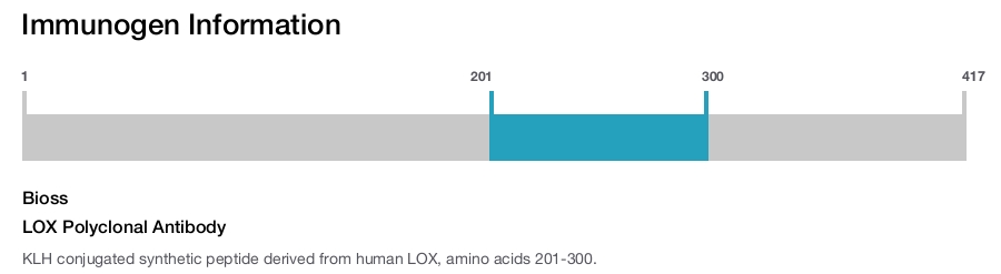 LOX Polyclonal Antibody