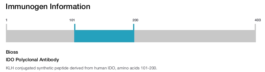 IDO Polyclonal Antibody