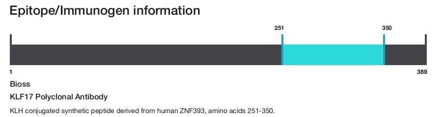 KLF17 Polyclonal Antibody