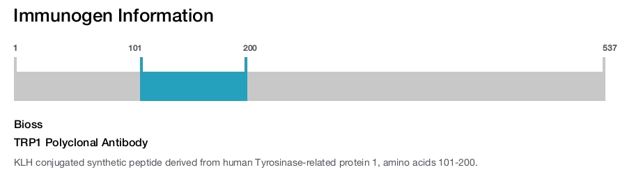 TRP1 Polyclonal Antibody