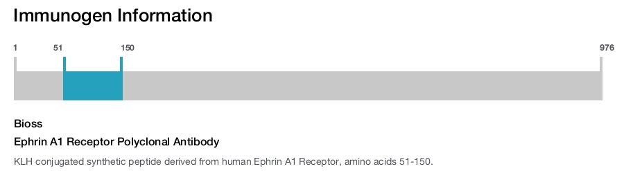 Ephrin A1 Receptor Polyclonal Antibody