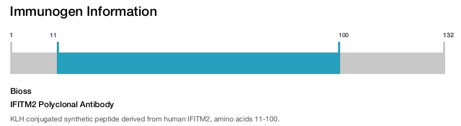 IFITM2 Polyclonal Antibody