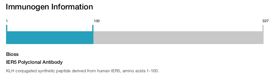 IER5 Polyclonal Antibody