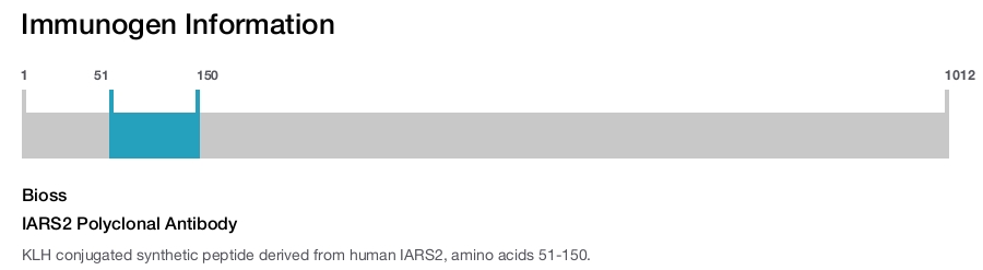 IARS2 Polyclonal Antibody