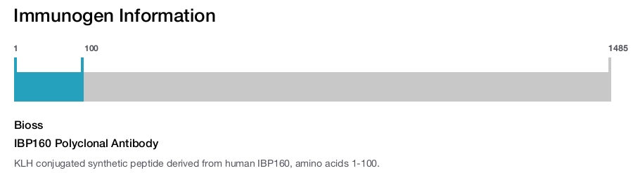 IBP160 Polyclonal Antibody