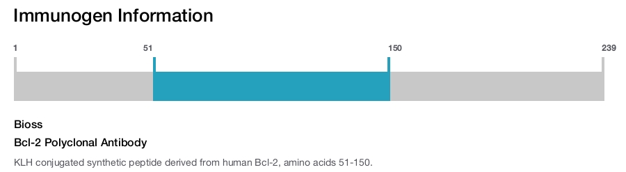 Bcl-2 Polyclonal Antibody