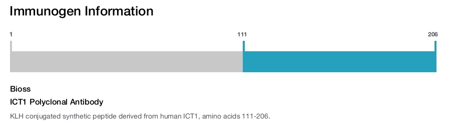 ICT1 Polyclonal Antibody