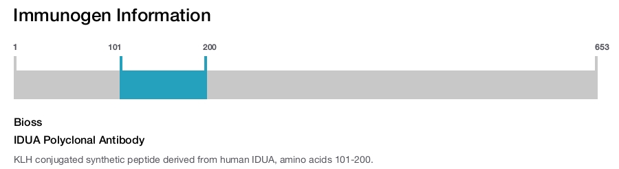 IDUA Polyclonal Antibody
