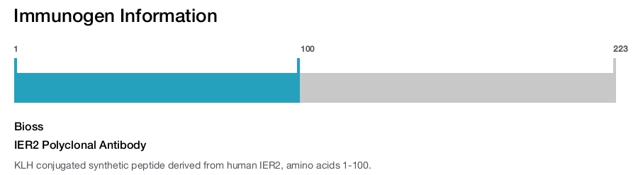 IER2 Polyclonal Antibody