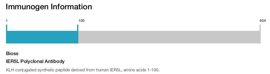 IER5L Polyclonal Antibody