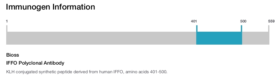 IFFO Polyclonal Antibody