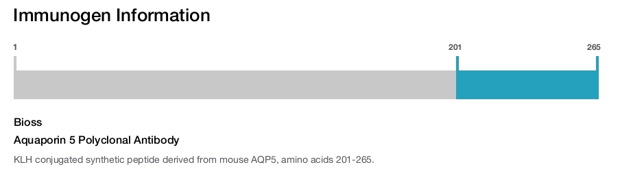 Aquaporin 5 Polyclonal Antibody