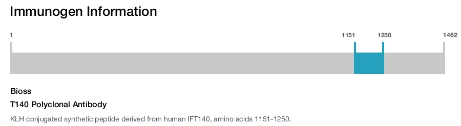 T140 Polyclonal Antibody