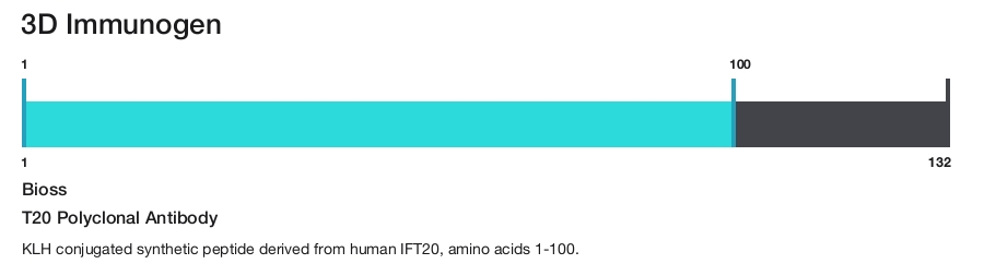 T20 Polyclonal Antibody