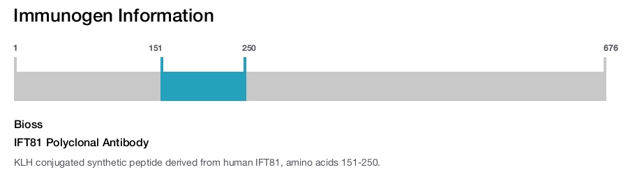 IFT81 Polyclonal Antibody