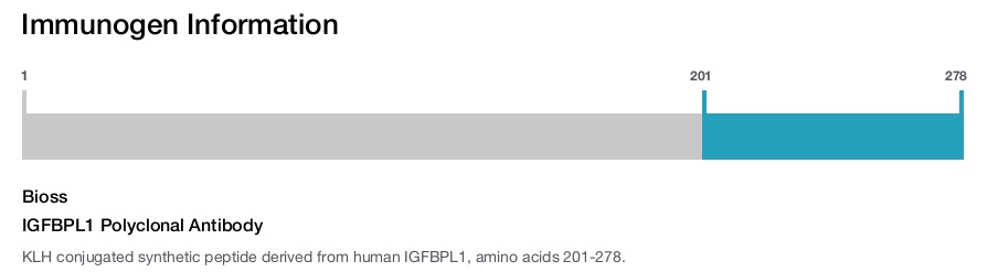 IGFBPL1 Polyclonal Antibody