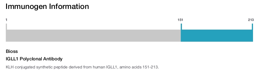 IGLL1 Polyclonal Antibody