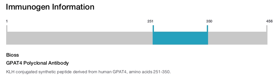 GPAT4 Polyclonal Antibody
