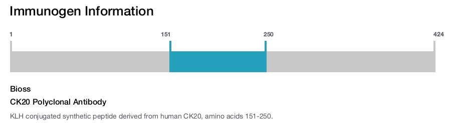 CK20 Polyclonal Antibody