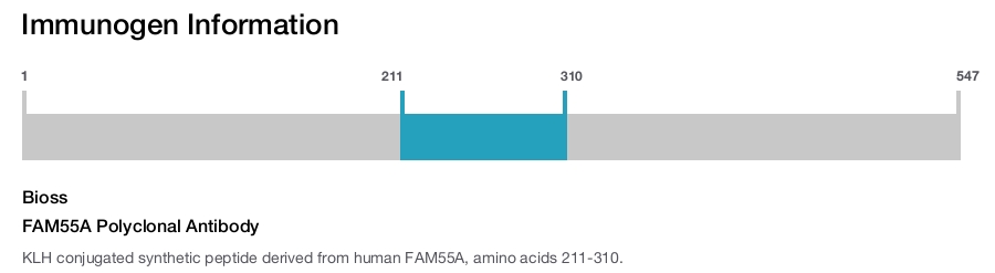 FAM55A Polyclonal Antibody