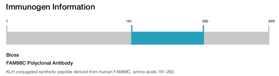 FAM98C Polyclonal Antibody