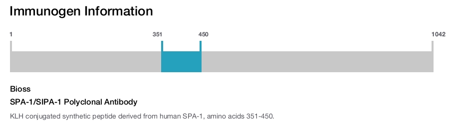 SPA-1/SIPA-1 Polyclonal Antibody