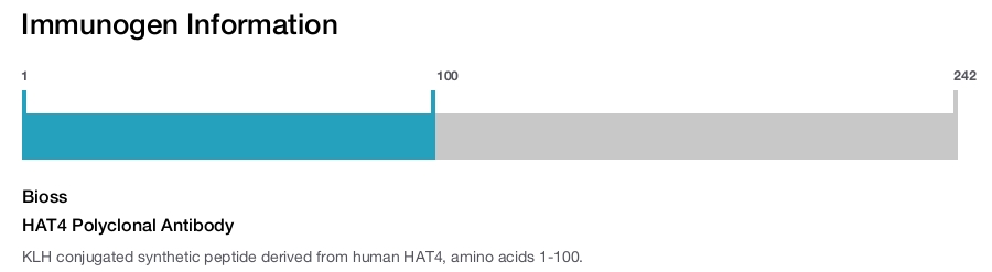HAT4 Polyclonal Antibody