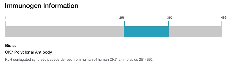 CK7 Polyclonal Antibody